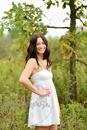 Kate [2025] proofs 166