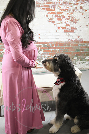Maternity Session [peek] 41