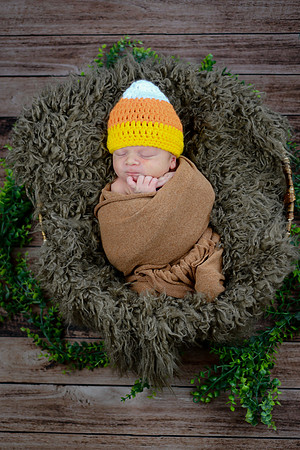 Baby Hart [peek] 25