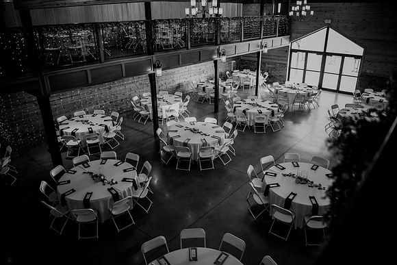Piper & Eddie WD [reception] 073