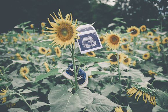 Baby H 184