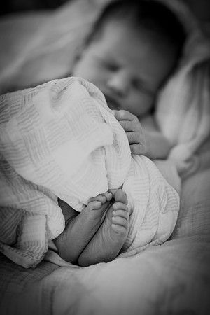 nolan [newborn] 006