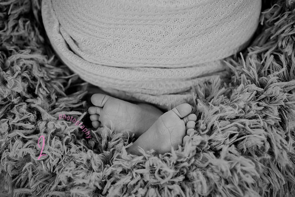 Anthony [newborn] 085