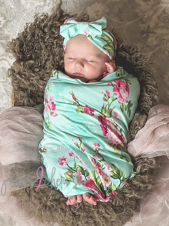 Amelia [newborn] images 126
