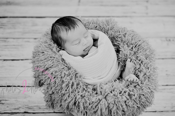 Anthony [newborn] 082