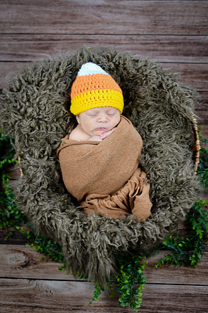 Baby Hart [peek] 19
