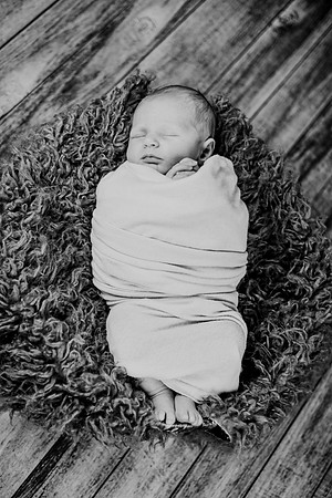 Noah Newborn 209