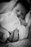 nolan [newborn] 007