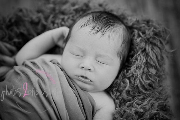 Anthony [newborn] 146