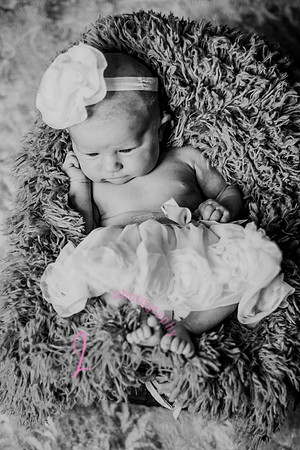 Amelia [newborn] images 047