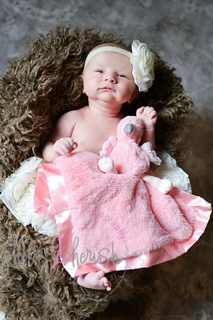 Amelia [newborn] images 095