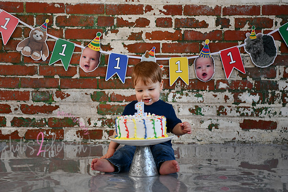 Logan 1st Birthday 098