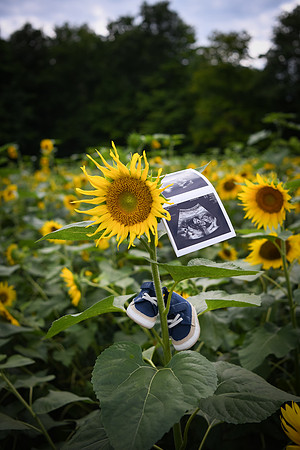 Baby H 186