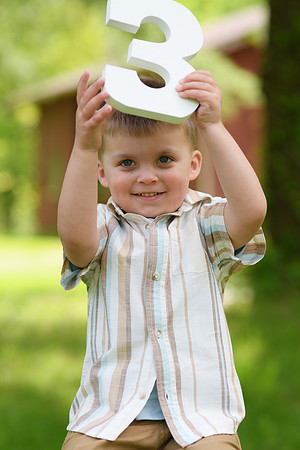 Coleson Turns Three 049