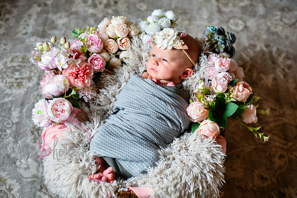 Amelia [newborn] images 017