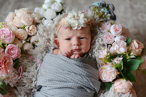 Amelia [newborn] images 034