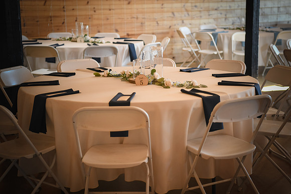 Piper & Eddie WD [reception] 037