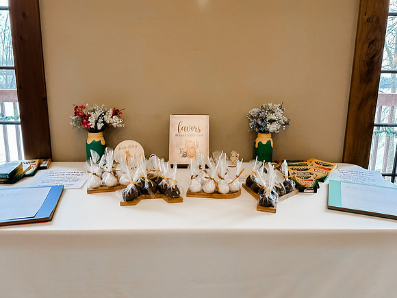 Baby Shower -249