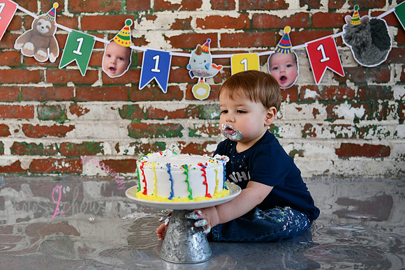 Logan 1st Birthday 213