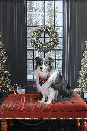 Holiday 2024 57
