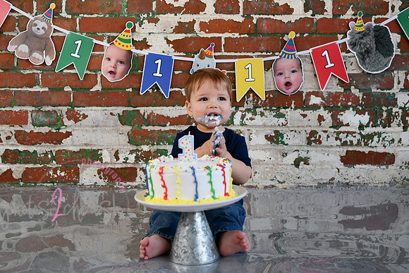 Logan 1st Birthday 139