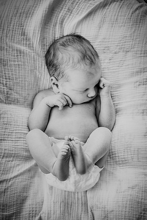 nolan [newborn]195