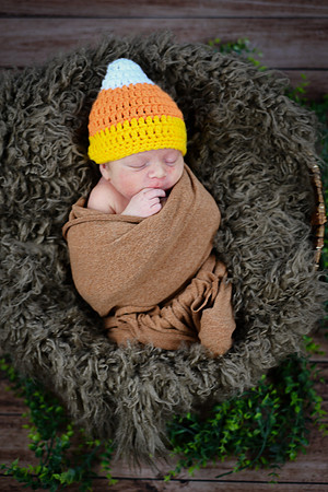 Baby Hart [peek] 13