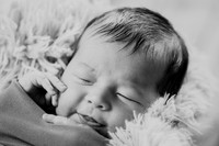 Anthony [newborn] 058