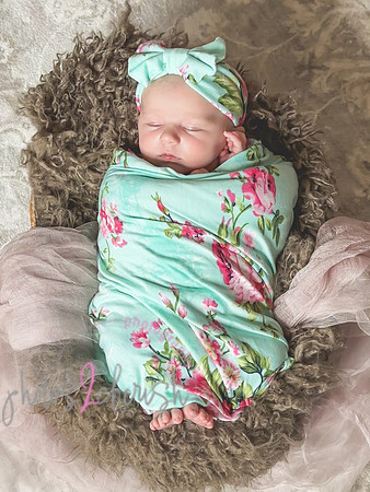 Amelia [newborn] images 119