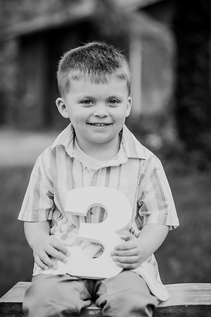 Coleson Turns Three 029