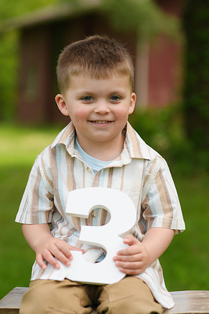 Coleson Turns Three 033