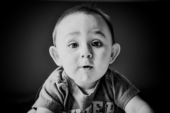 hudson [8 months] 230