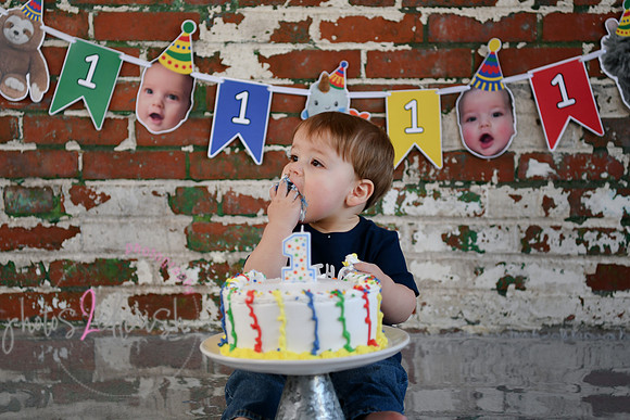Logan 1st Birthday 152