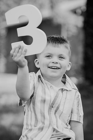 Coleson Turns Three 017