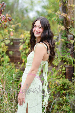 Kate [2025] proofs 096