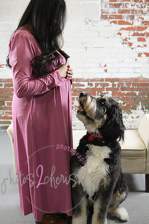 Maternity Session [peek] 32