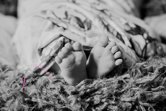 Amelia [newborn] images 102