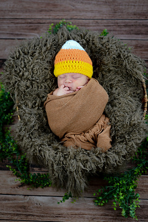 Baby Hart [peek] 22