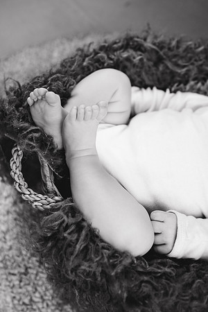 Lincoln [newborn] 083