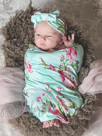 Amelia [newborn] images 114