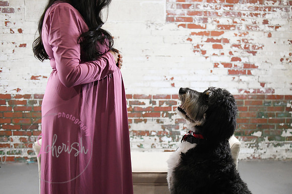 Maternity Session [peek] 28