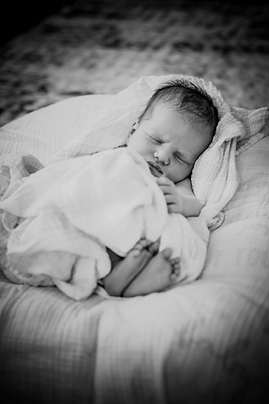 nolan [newborn] 061