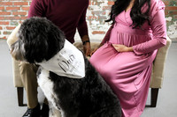Namitha Maternity [peek photos] 25