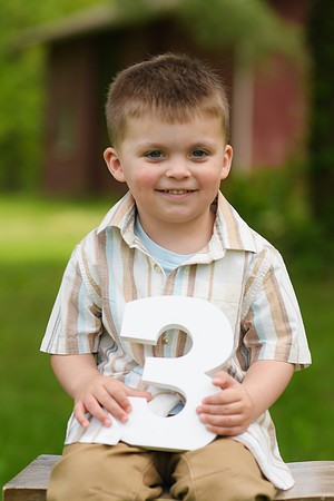 Coleson Turns Three 034
