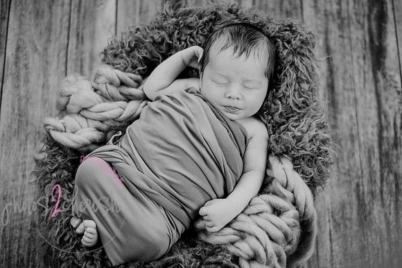 Anthony [newborn] 132