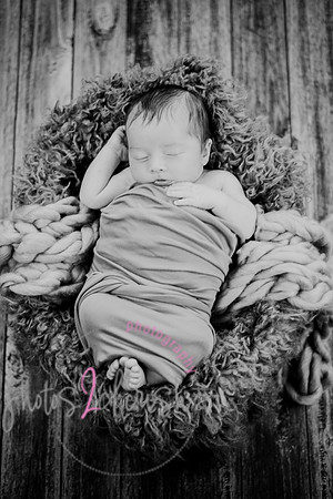 Anthony [newborn] 090