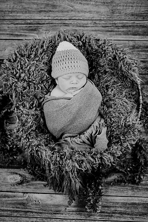Baby Hart [peek] 21