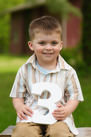 Coleson Turns Three 030