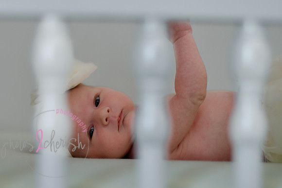 Amelia [newborn] images 147
