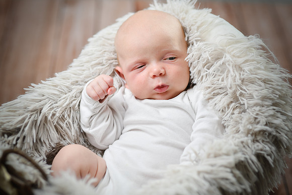 Lincoln [newborn] 025